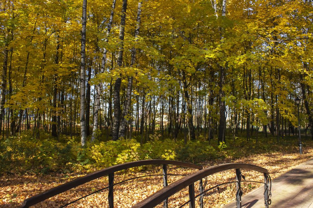 Photograph by  Vladimir