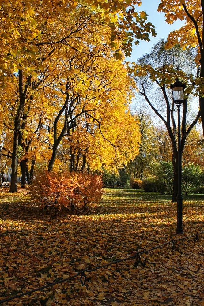 Photograph by Инна Сидоренко