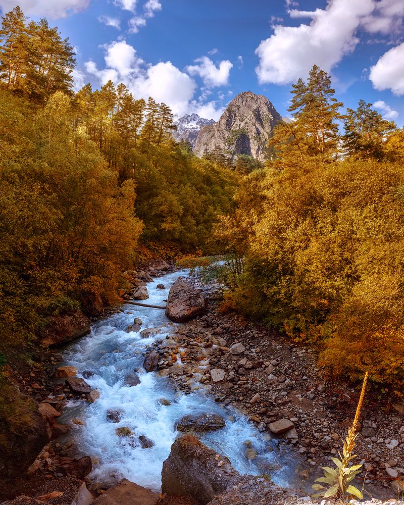 Photograph by Александр Титов