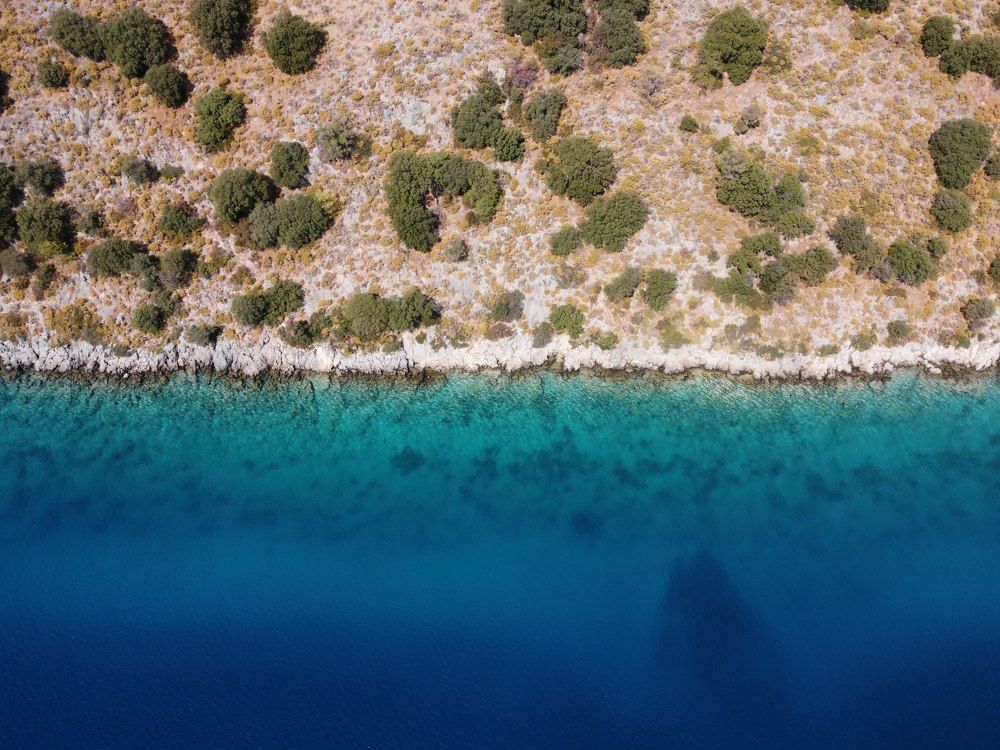 Blue of the sea and green of nature.