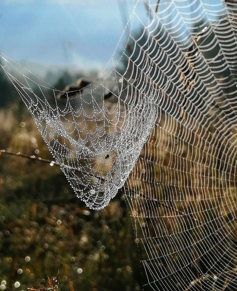 Photograph by Виктор Шубин