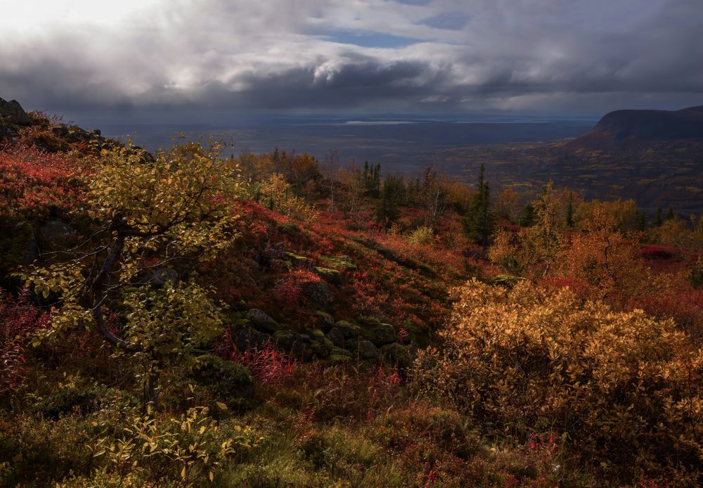 Photograph by Марина Мурашова