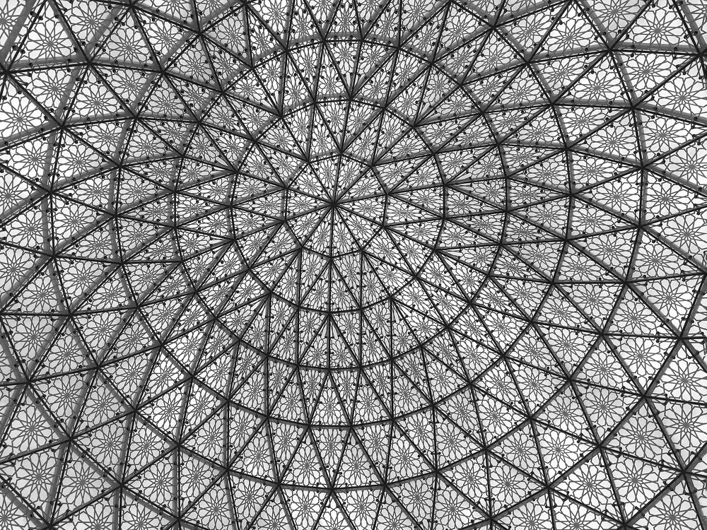 Photograph by Svetlana Karnauh Карнаух