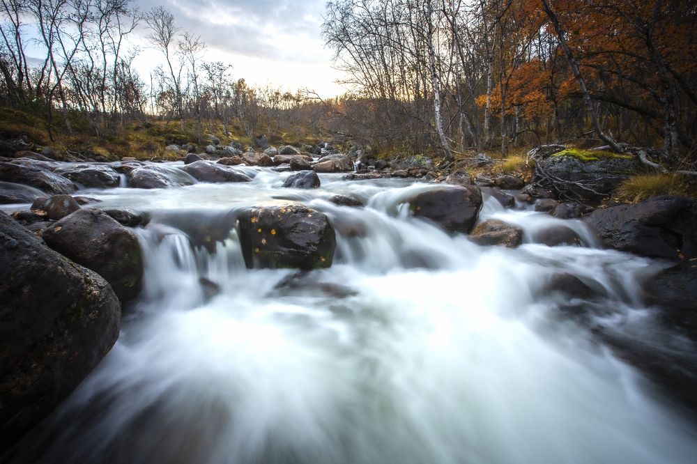 Photograph by ЕВГЕНИЙ СКАЛОЗУБОВ