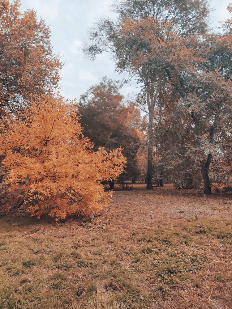 Photograph by Olga Gorokhova