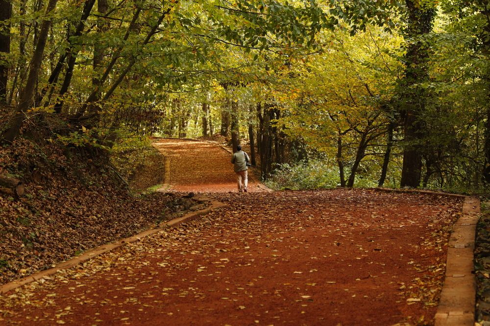 Photograph by GUNSEL SECKİNER