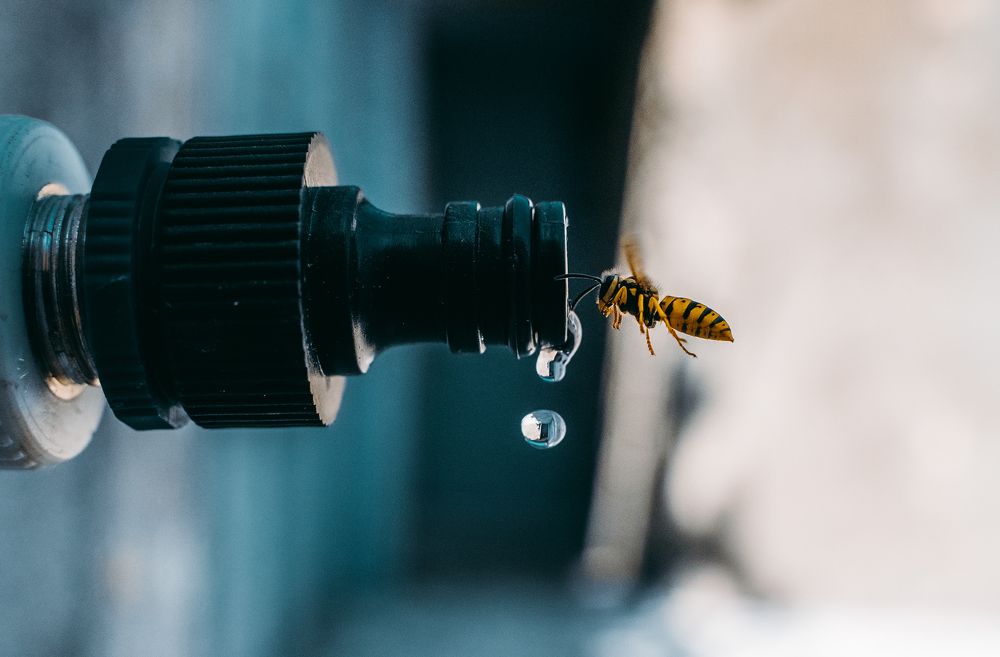 Photograph by David Adilkhanyan