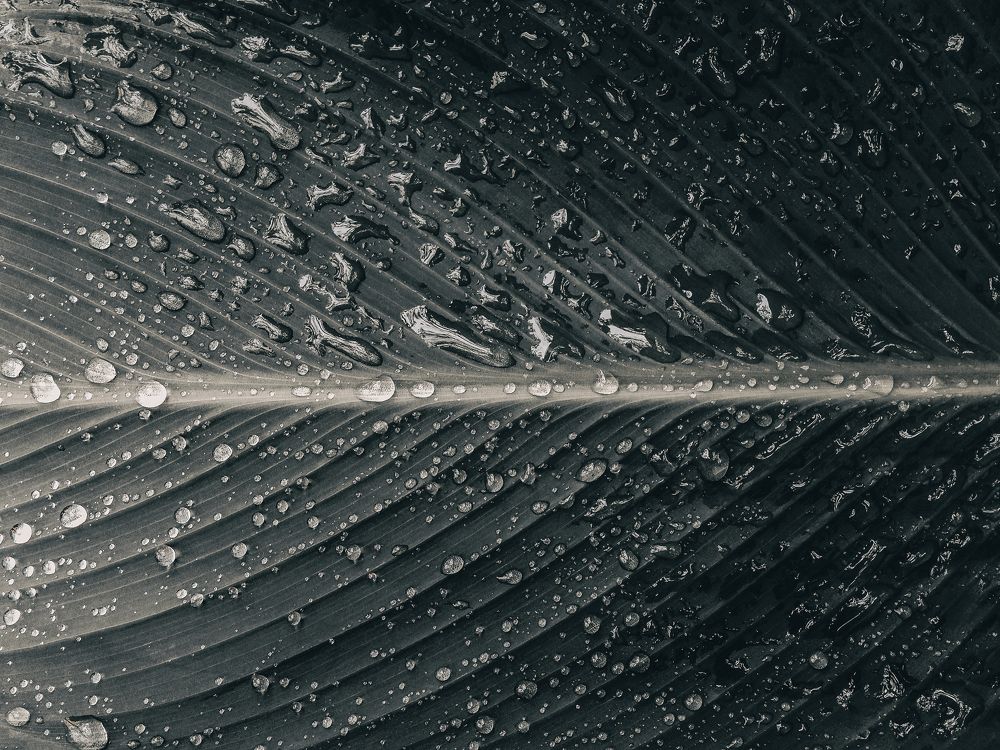 Photograph by Виталий Шкадинов