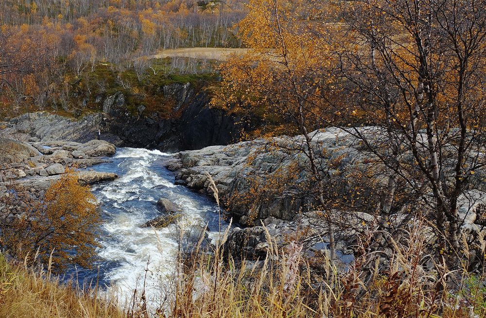 Photograph by Надежда Кузнецова