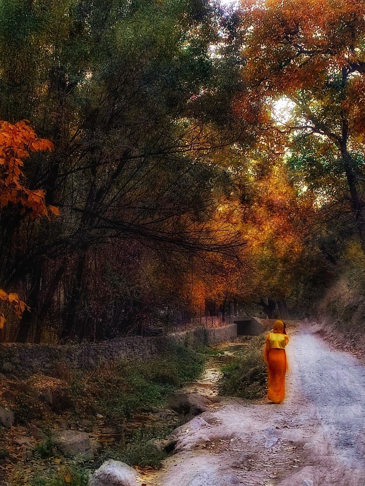 Photograph by Sherko Bahmani