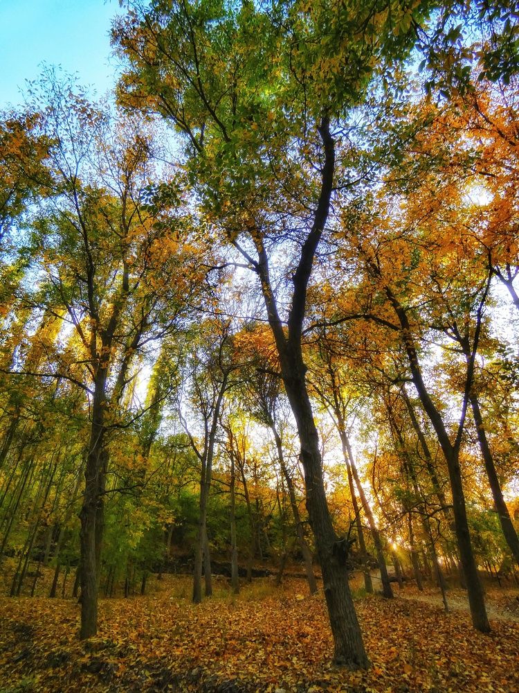 Photograph by Sherko Bahmani