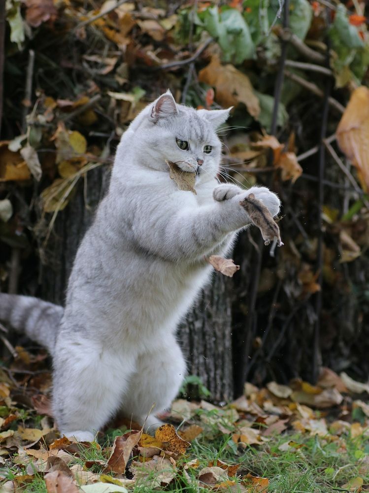 Photograph by Светлана Богомолова