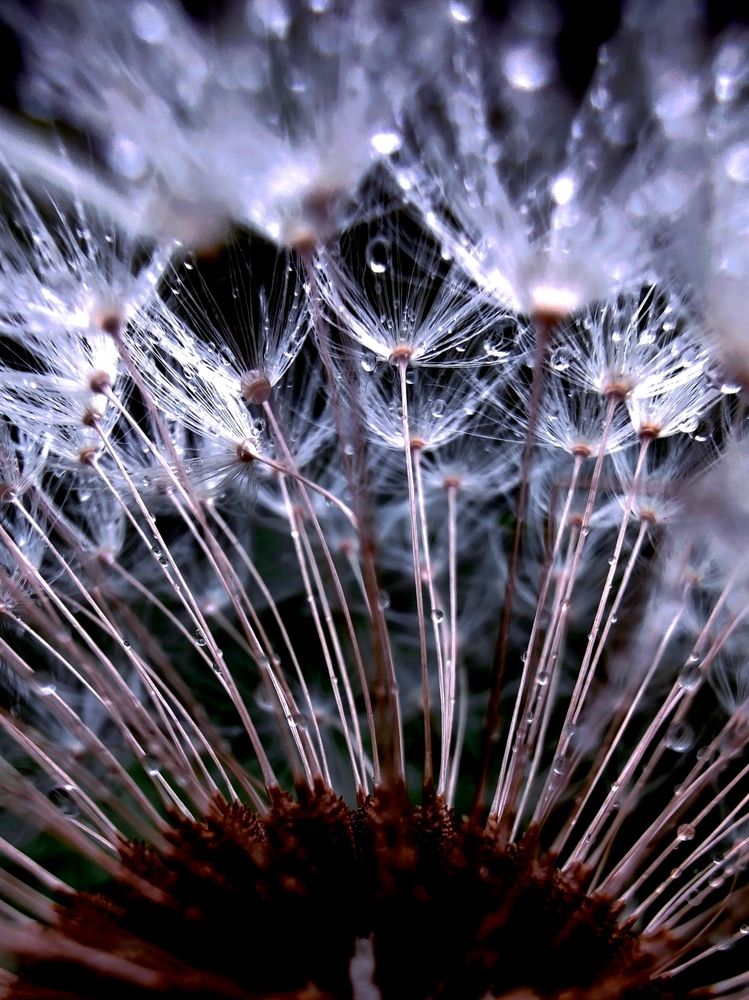 Photograph by Инна Макарчук