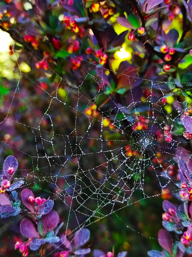 Photograph by Инна Макарчук