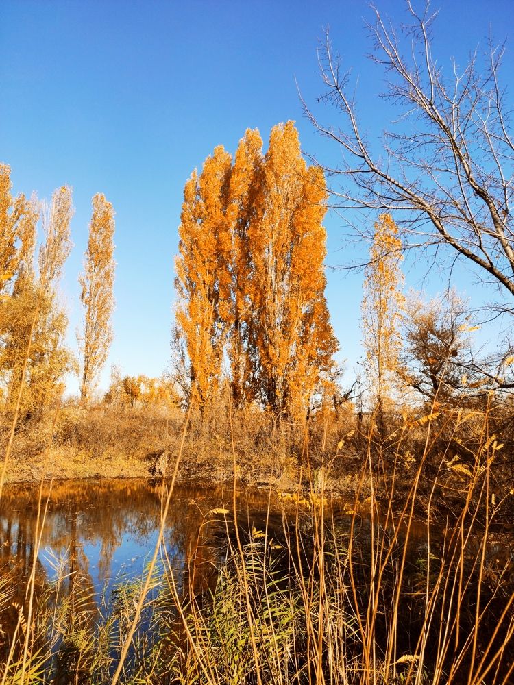 Photograph by Юлия Кобец