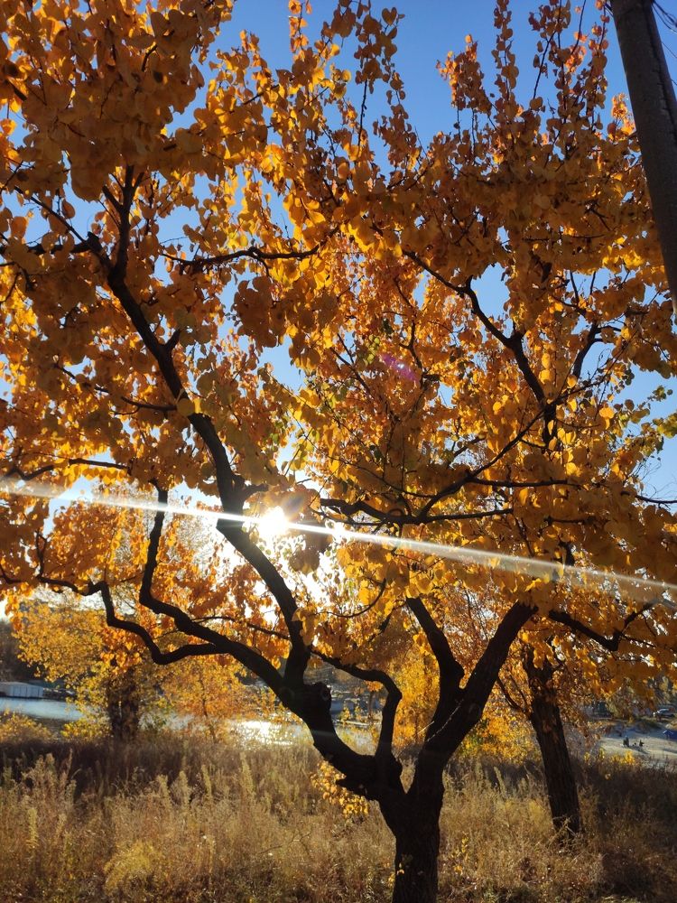 Photograph by Юлия Кобец