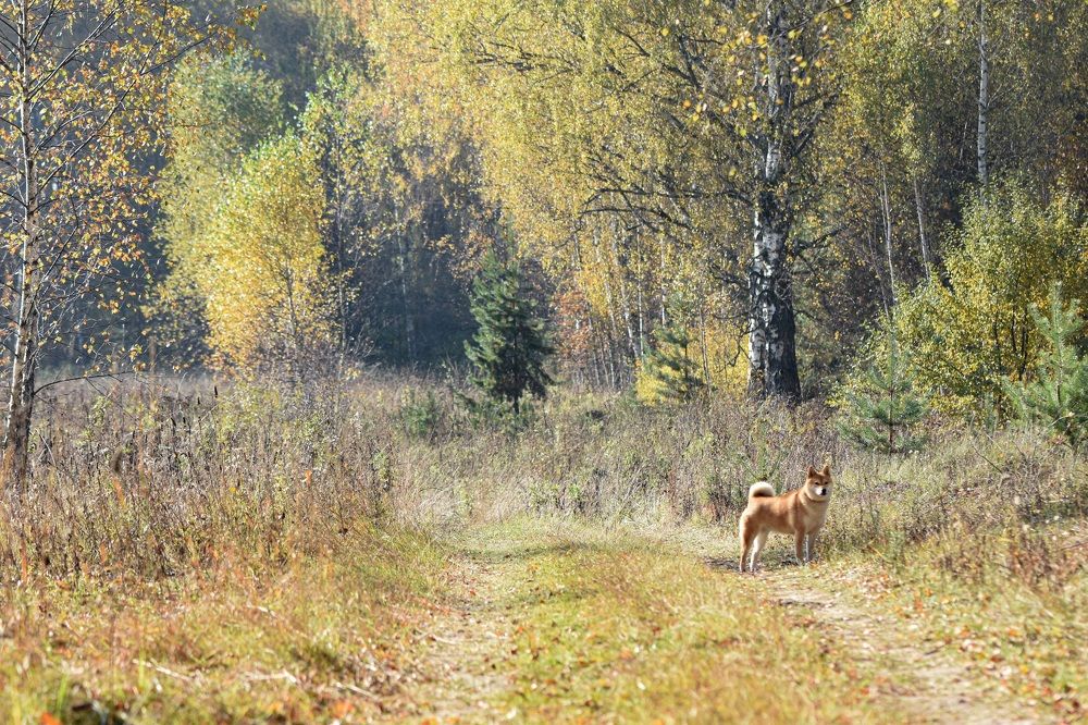 Photograph by Tatyana Belova