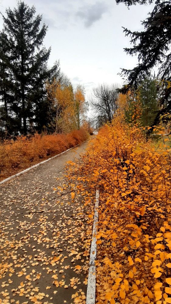 Photograph by Катя Бушная