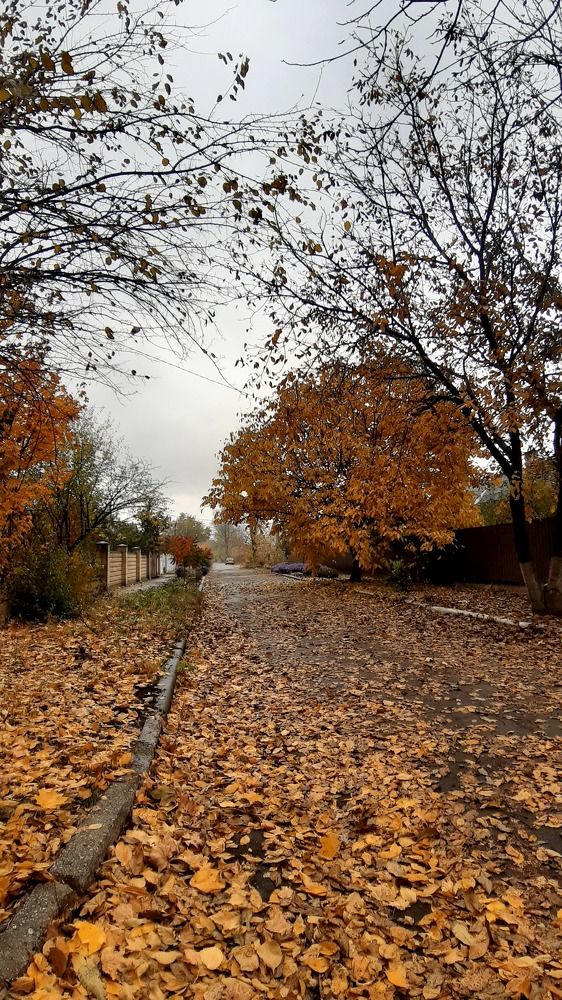 Photograph by Катя Бушная