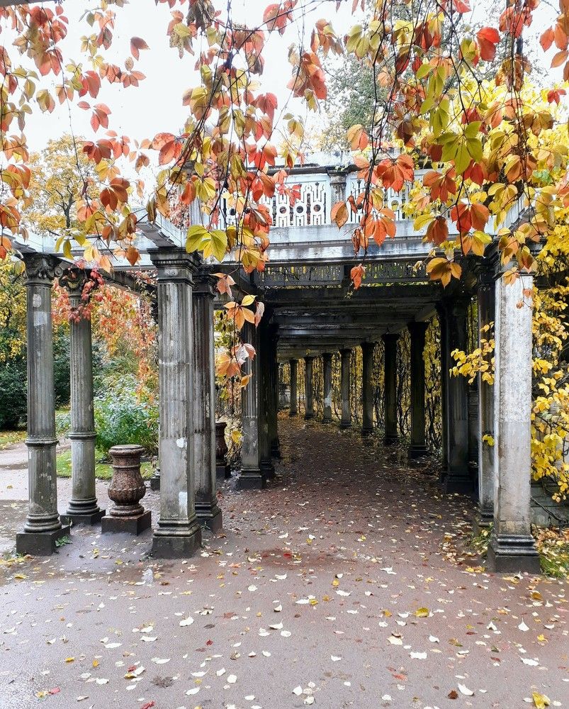 Photograph by Надежда Кудрявцева