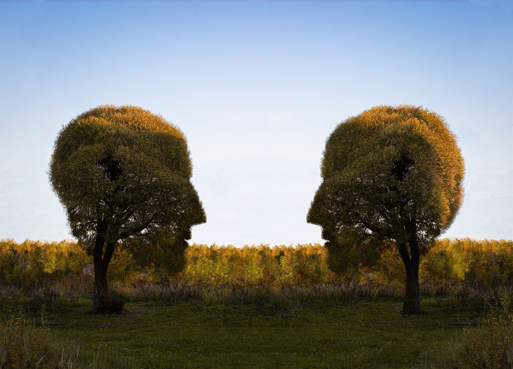 Photograph by Семен Алексеевич