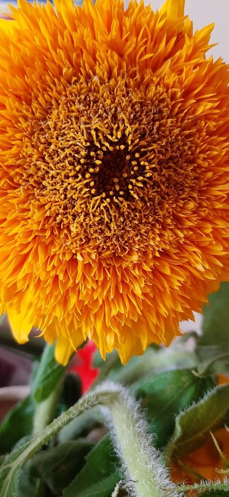 Photograph by Марийона Савоненко