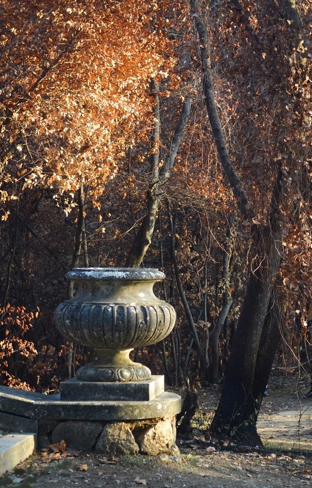 Photograph by Iryna Roy