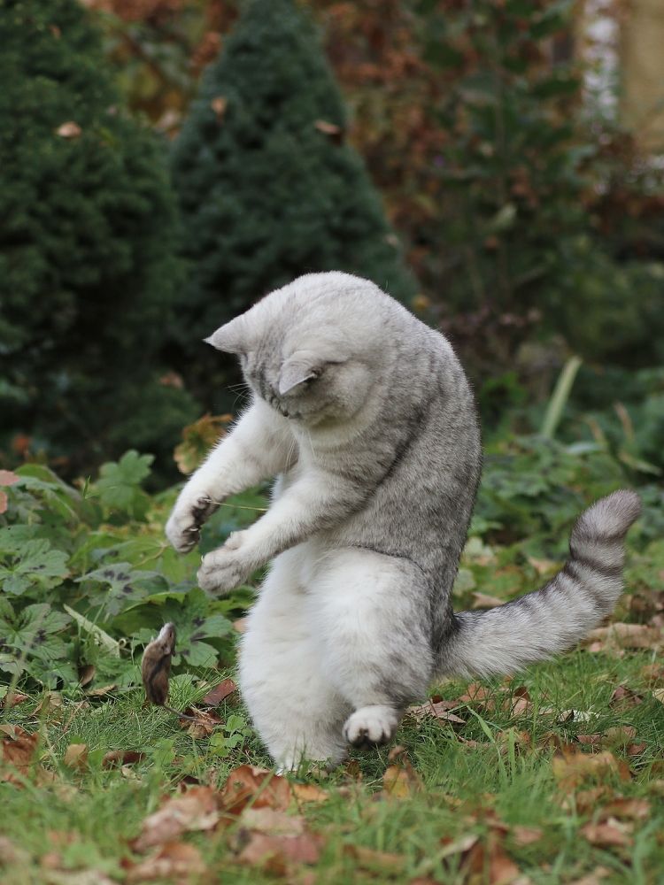 Photograph by Светлана Богомолова