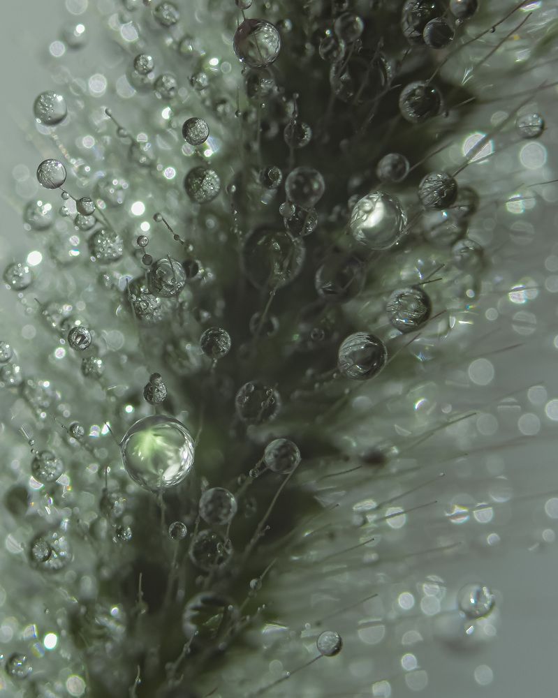 Photograph by Tatyana Belova