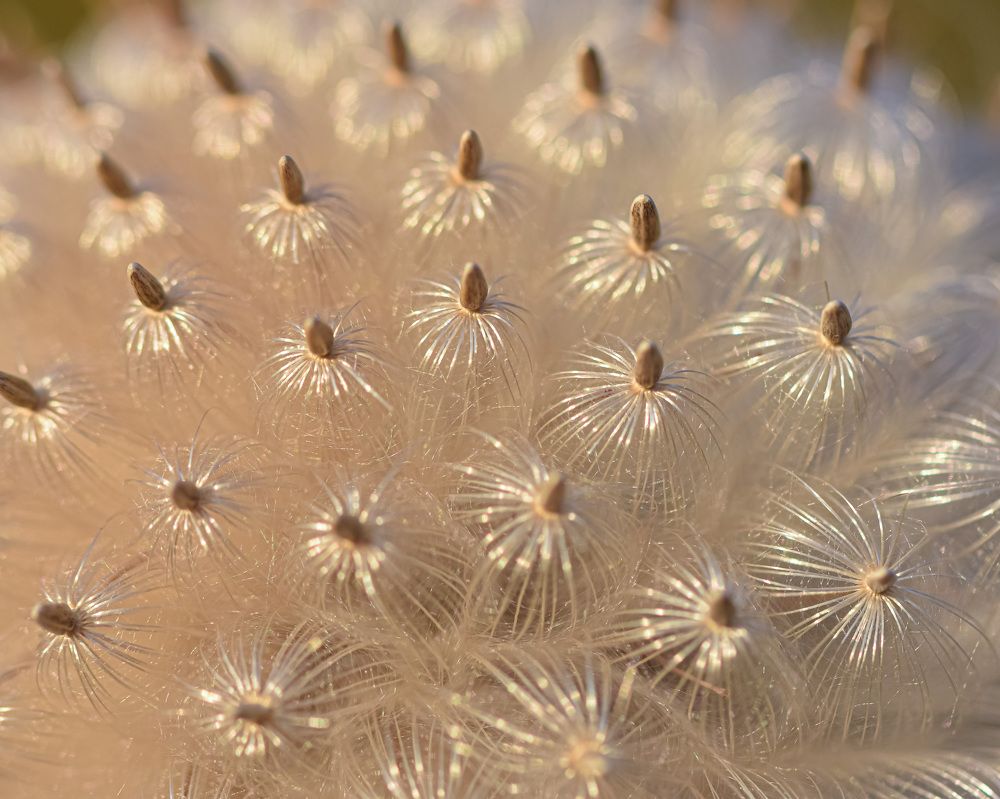 Photograph by Tatyana Belova