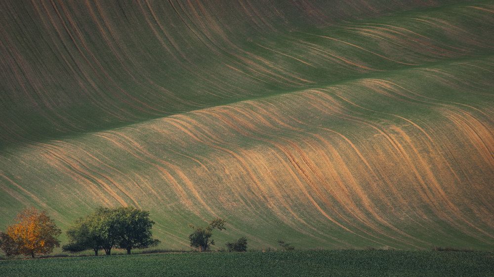 Photograph by Iris Lara