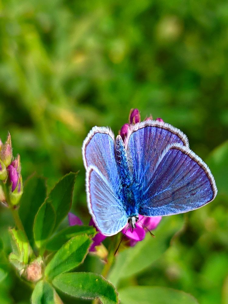Photograph by ali jafari