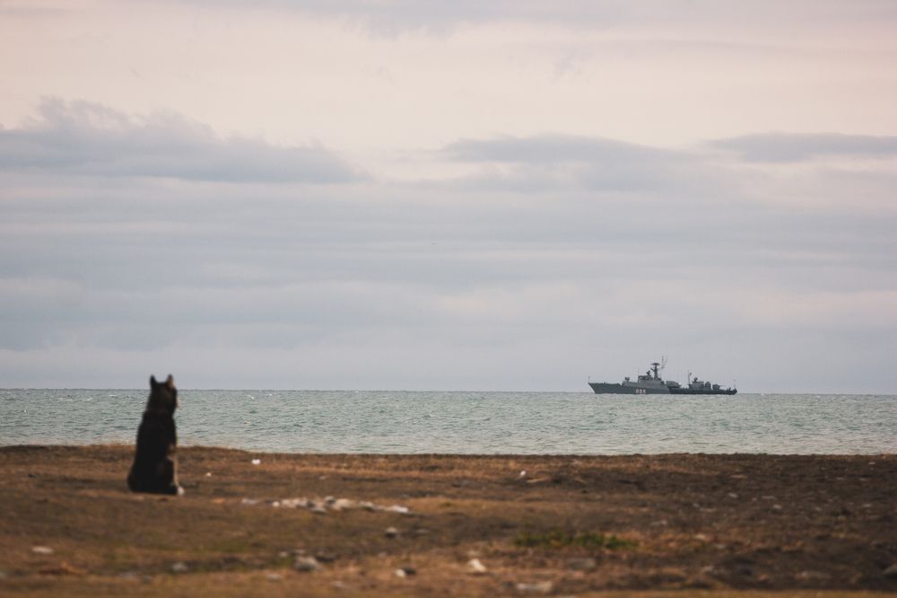 Photograph by Елена Свешникова