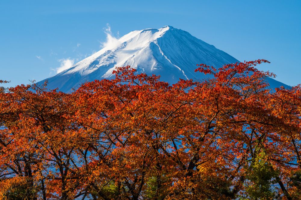 Photograph by Hiroike Masahiro