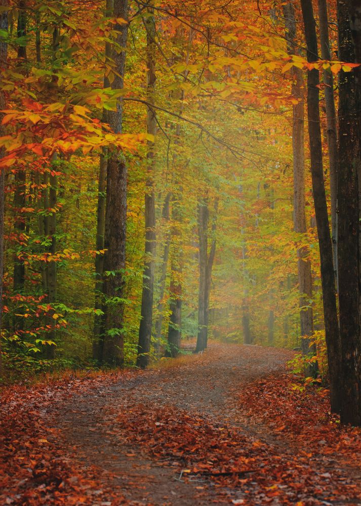 Photograph by Gargee Chowdhury