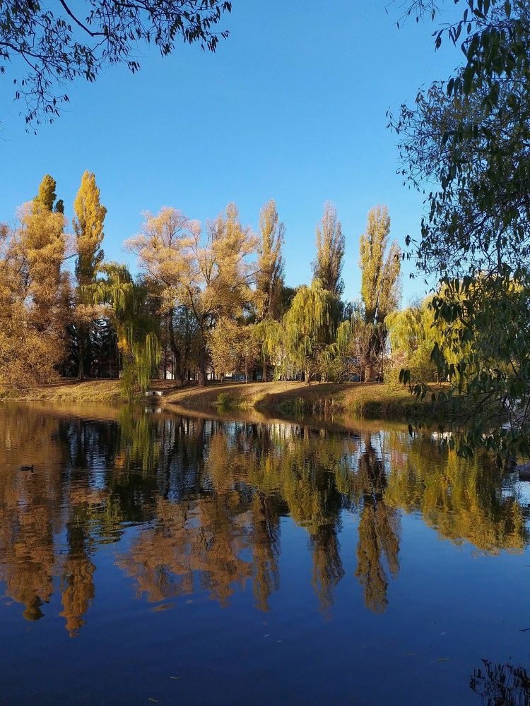 Photograph by Александр Панин