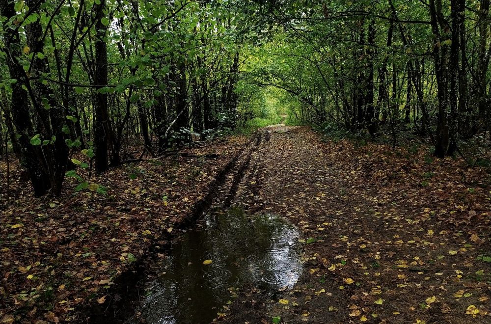 Photograph by Андрей Микулич