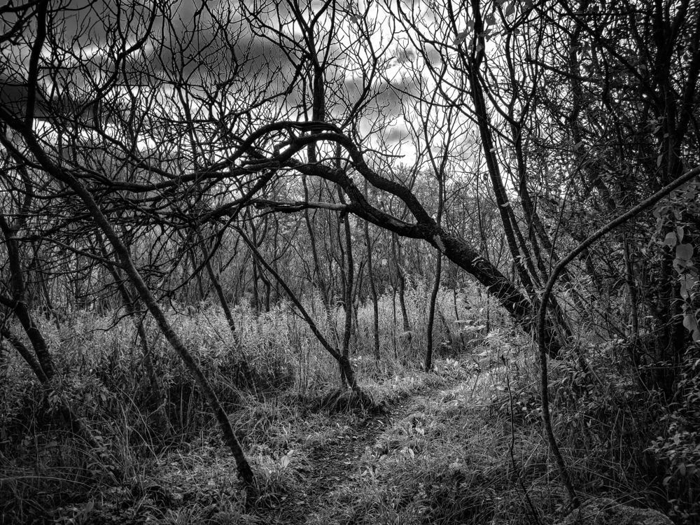 Photograph by Greg Noakes