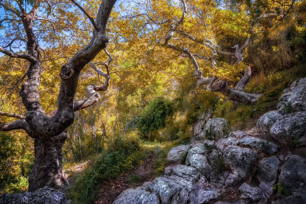 Photograph by Марина Ческис