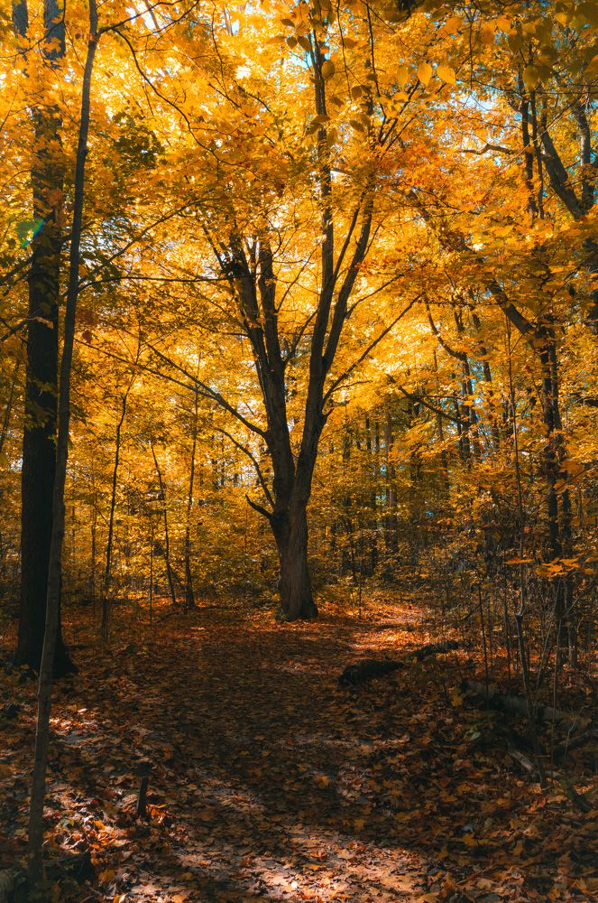 Photograph by Greg Noakes