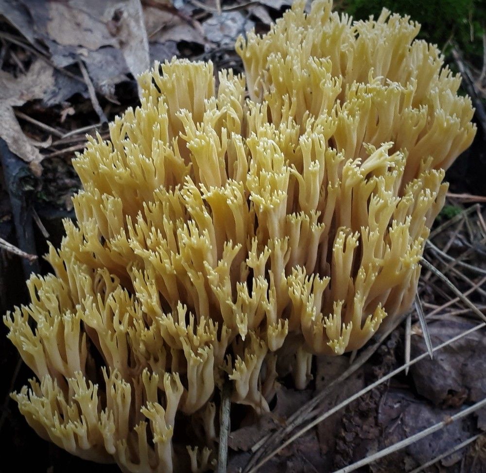 Photograph by Людмила Колеватова