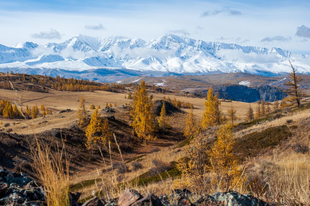 Photograph by Ирина Шерина