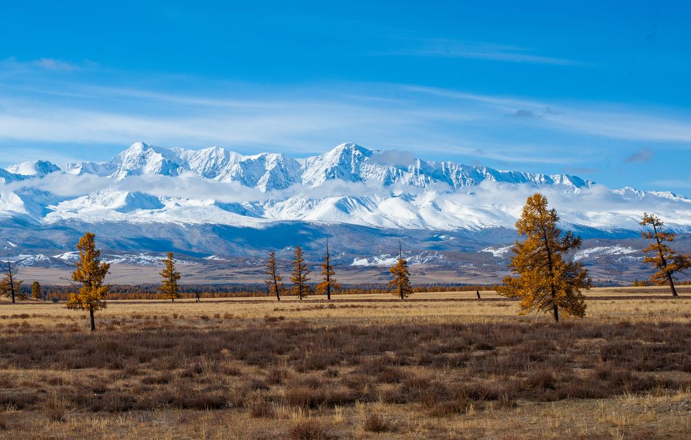 Photograph by Ирина Шерина