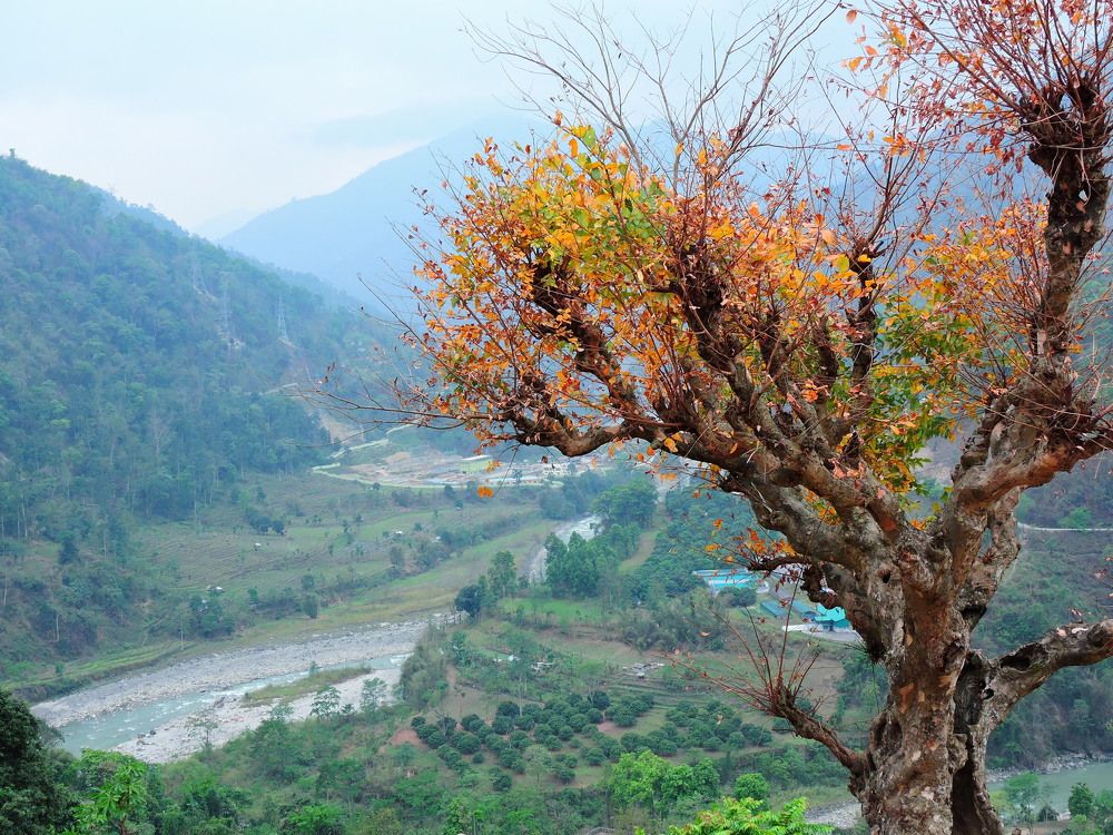 Photograph by Shiva rai