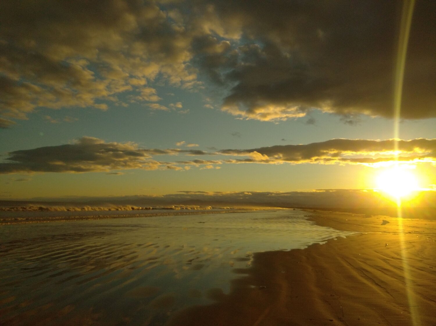 Photo #6644170