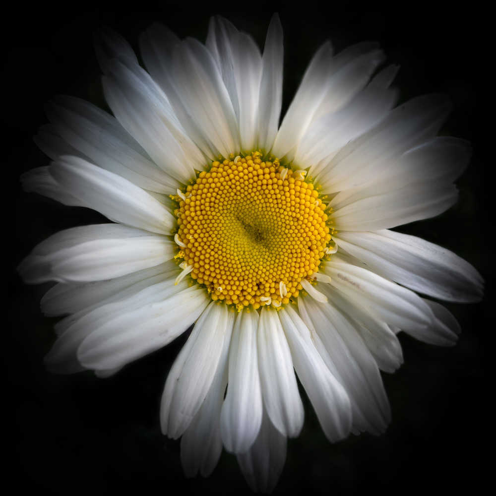 Photograph by Dmitriy