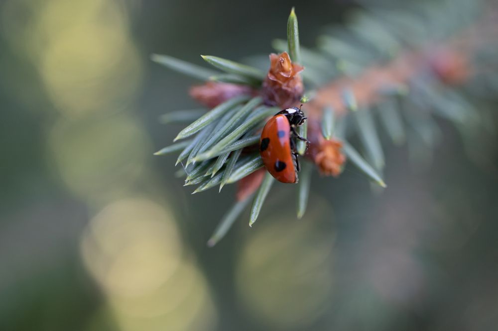 Photograph by Кристина Кудрявцева