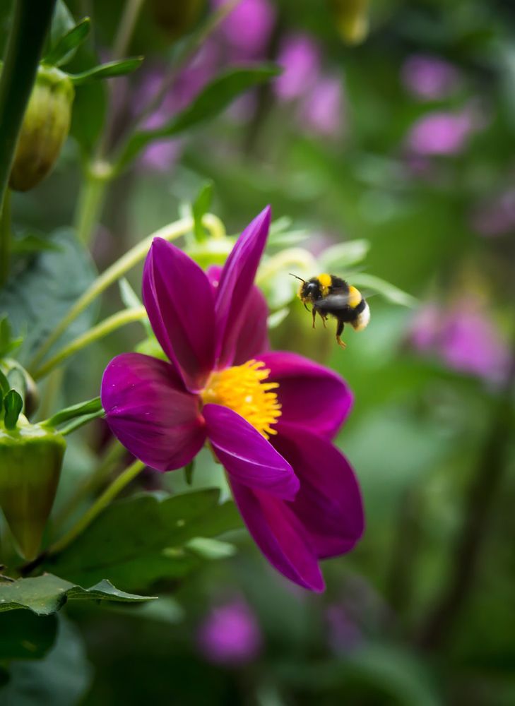 Photograph by Андрей Красников