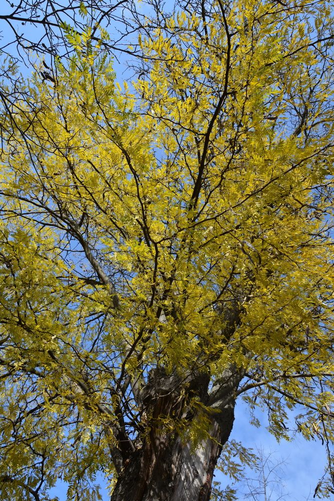 Photograph by Helena Lugowska