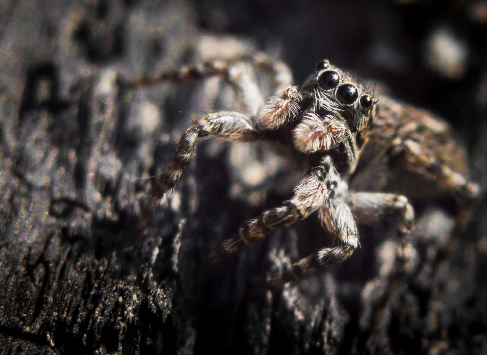 Photograph by Андрей Красников